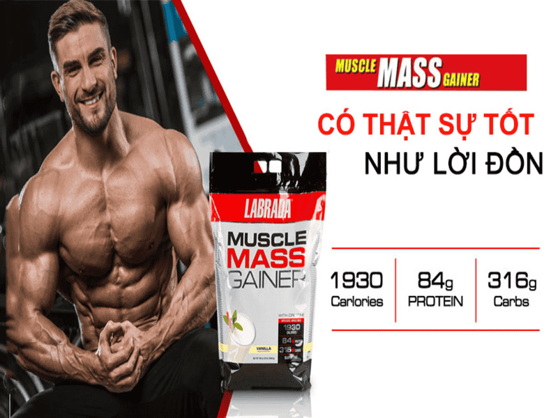 top-07-loai-mass-gainer-1877