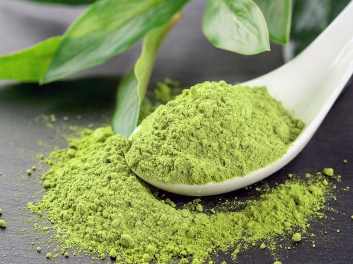Lá trà xanh hoặc bột matcha là nguyên liệu phổ biến để làm xịt khoáng cho da dầu mụn