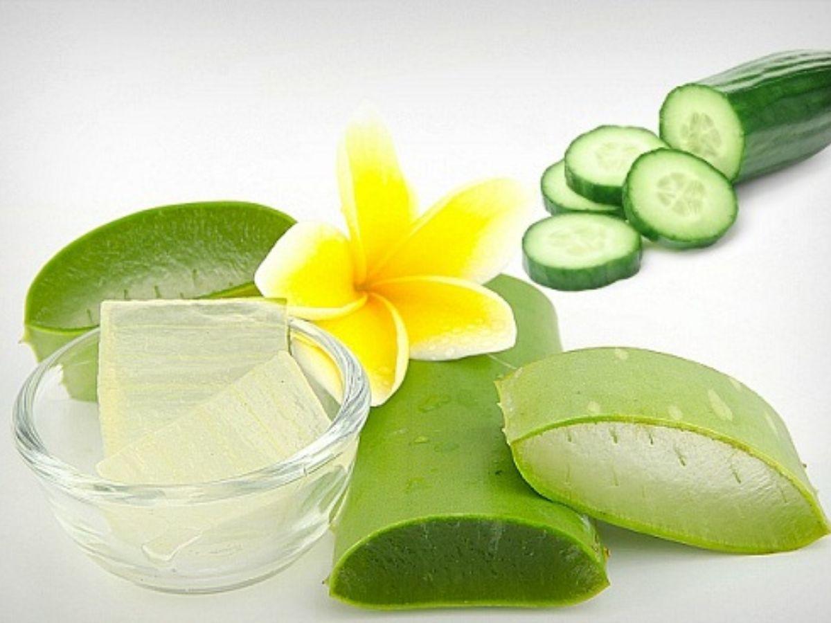 Nha đam và dưa chuột tươi là nguyên liệu cấp ẩm dịu nhẹ