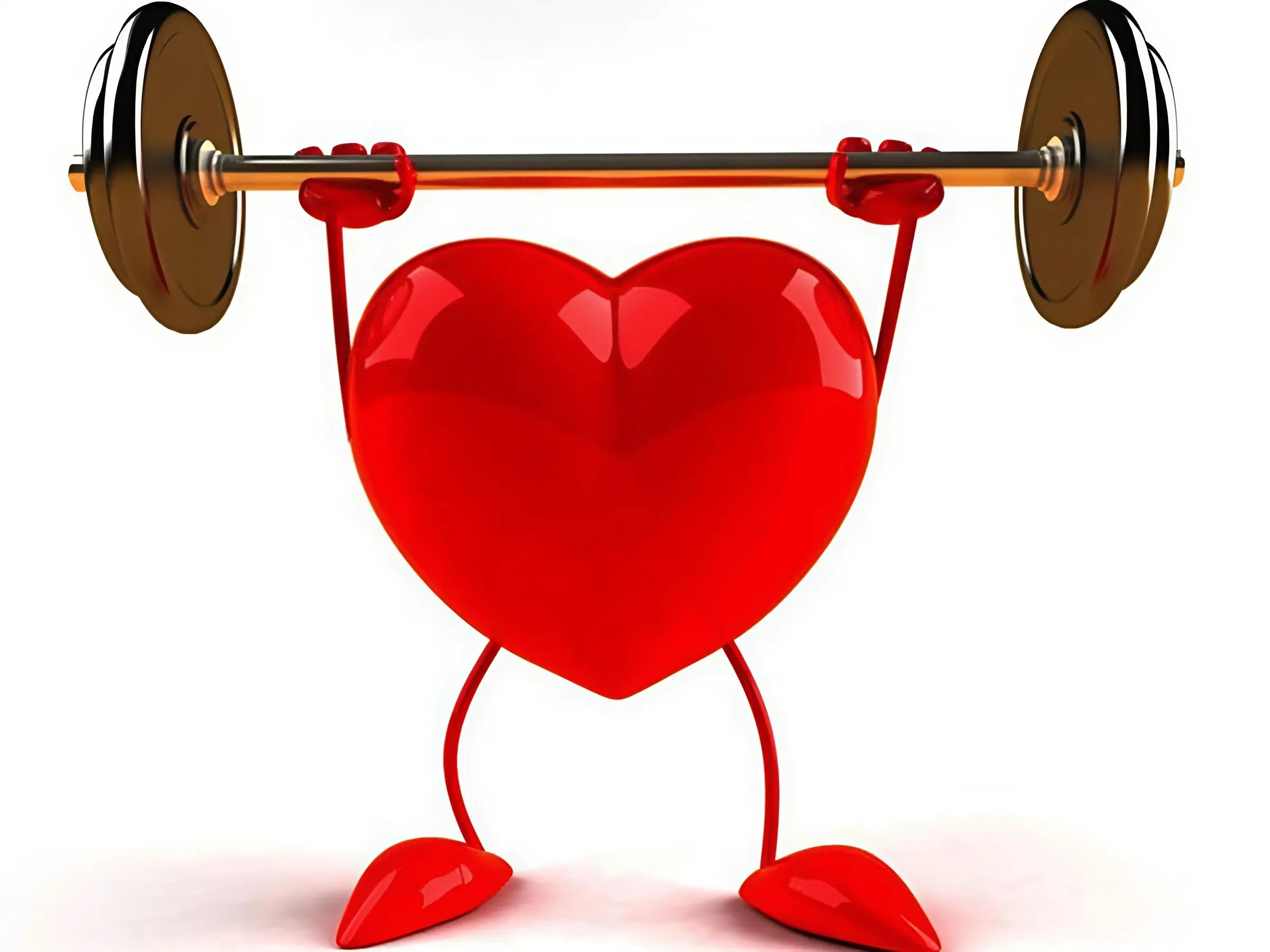 Tập gym hỗ trợ phát triển sức khỏe tim mạch