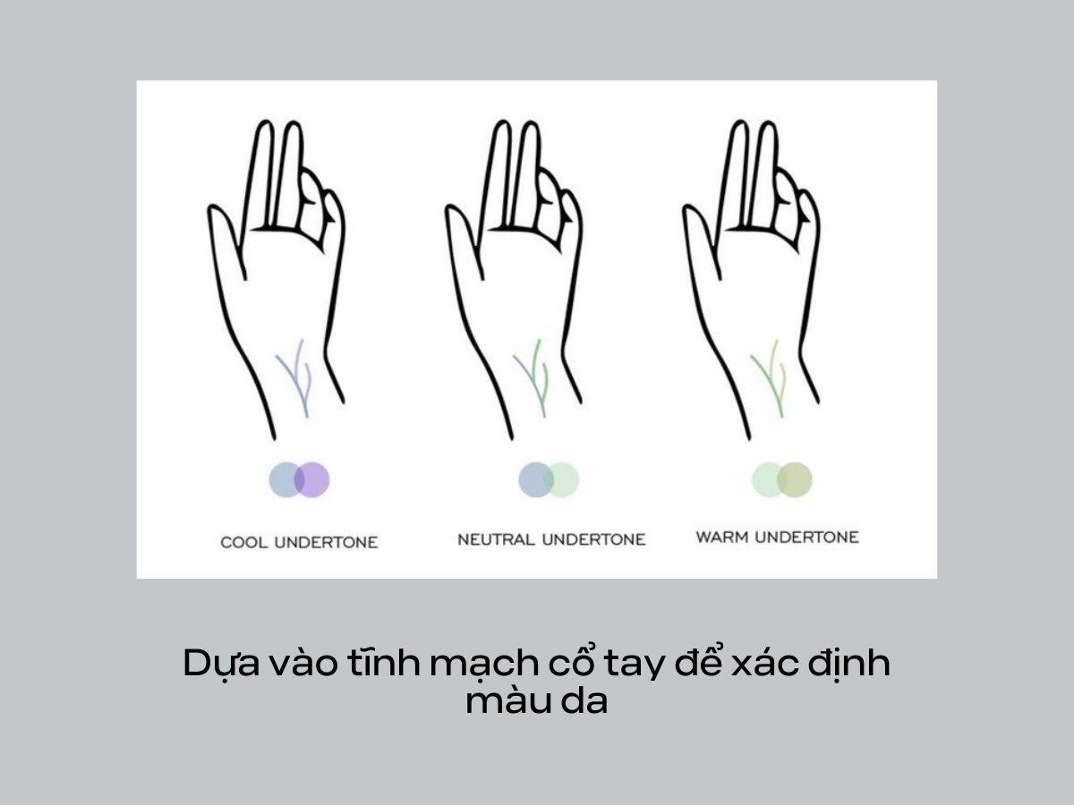 Xem màu tĩnh mạch để xác định da