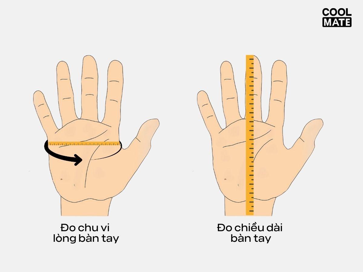 Cách đặt thước dây để đo chu vi lòng bàn tay và đo chiều dài bàn tay