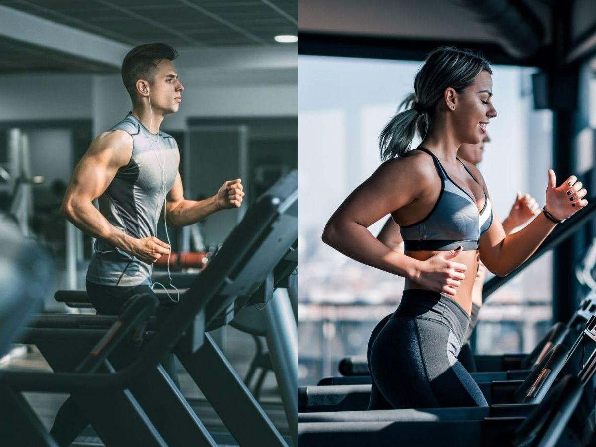 Máy chạy bộ trên thị trường có độ bền và hiệu quả vận hành tốt