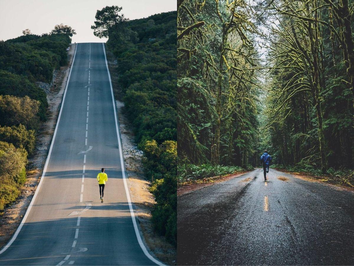 Đặc điểm nhận diện của chạy road