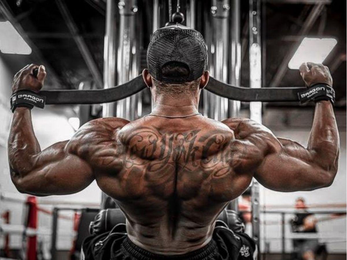 Bài tập gym hiệu quả cho lưng và vai