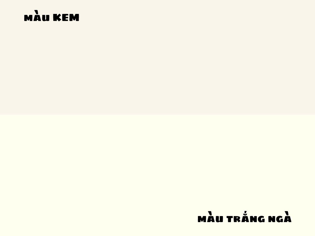 Màu kem vs Màu trắng ngà