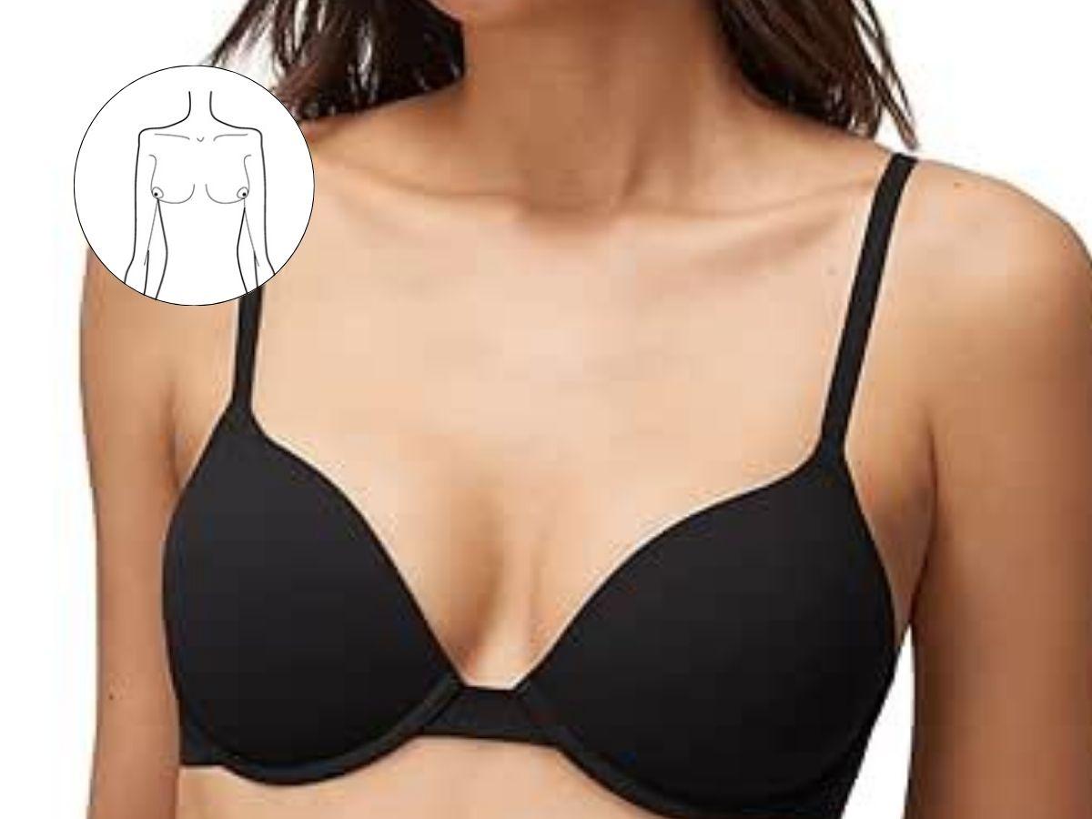 Ngực Đông Tây có hai bầu ngực hướng nhẹ ra hai bên
