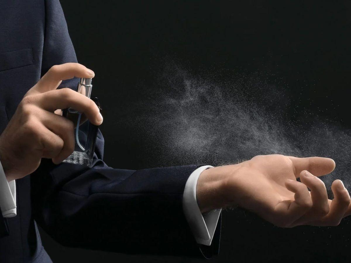 Mỗi loại đều có sức quyến rũ riêng