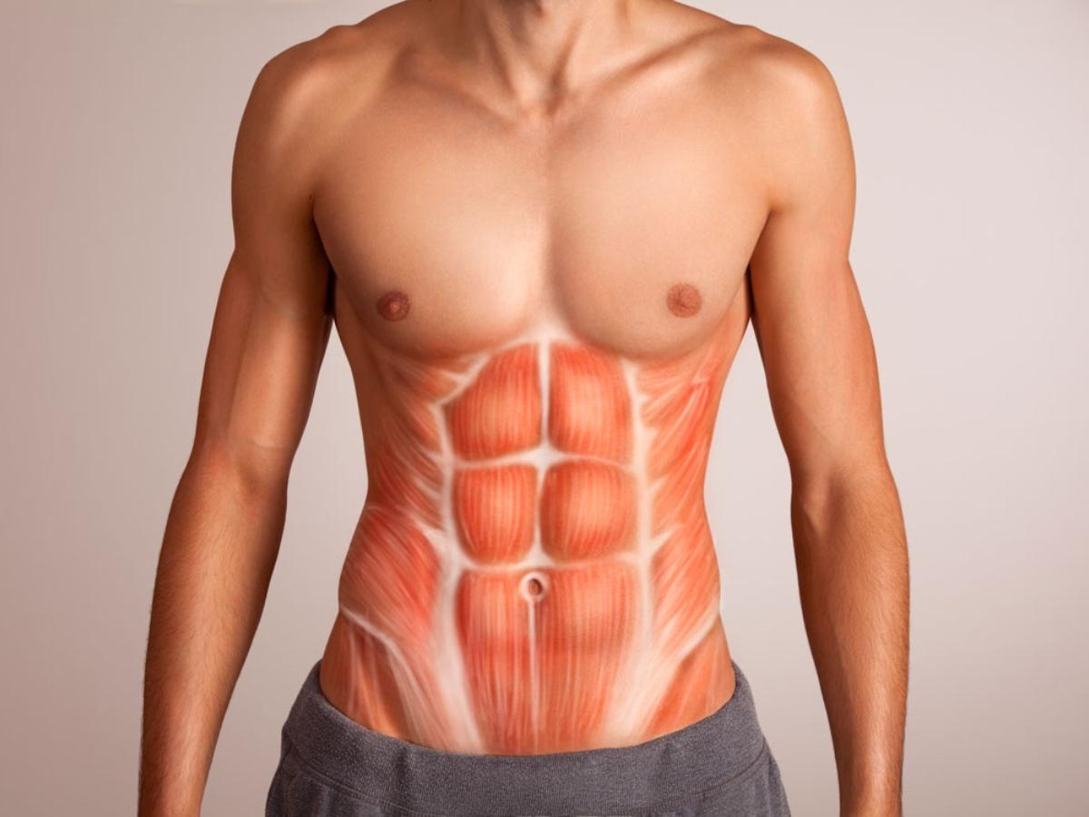 Abs trong gym là một thuật ngữ nói về cơ bụng 