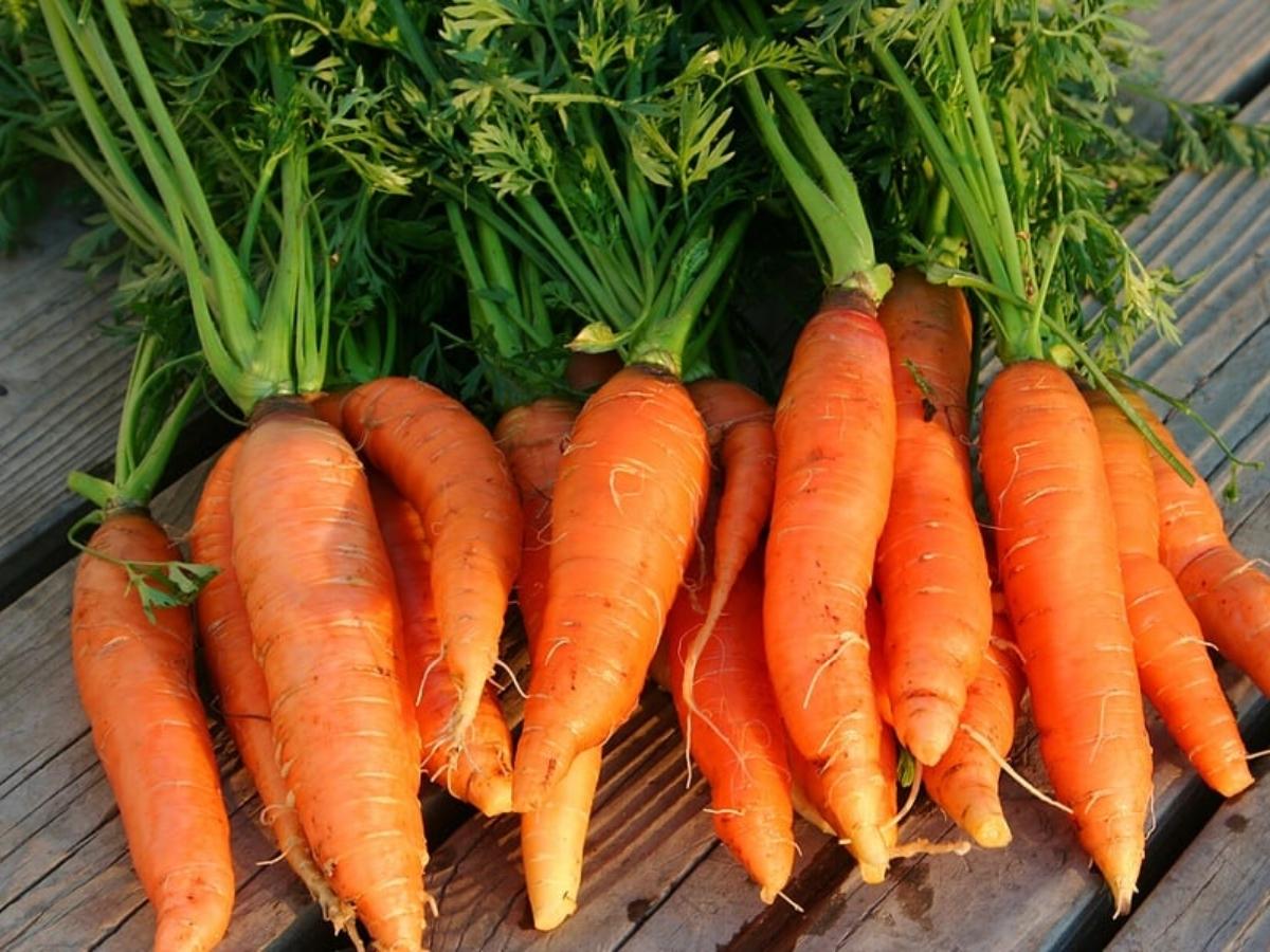 Chất dinh dưỡng trong cà rốt giúp mắt sáng hơn
