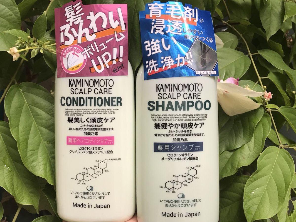 Dầu gội Kaminomoto Medicated Shampoo giúp làm sạch gàu, bã nhờn và giảm rụng hiệu quả