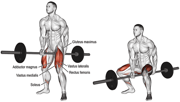 các-bài-tập-squat-cho-nam