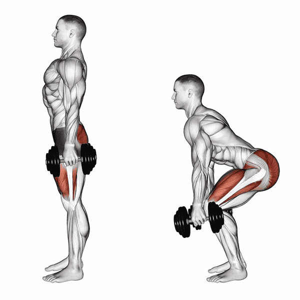 các-bài-tập-squat-cho-nam