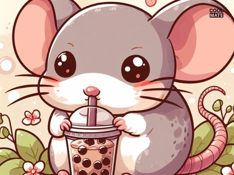 Áo lớp hình con chuột uống trà sữa