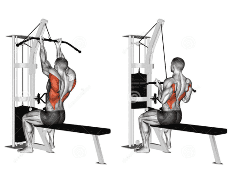 cac-loai-may-gym-3262