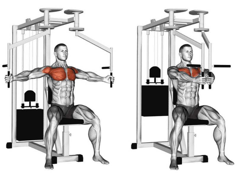 cac-loai-may-gym-3262