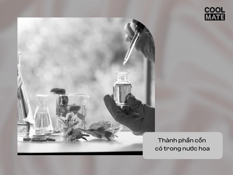 Thành phần cồn trong nước hoa