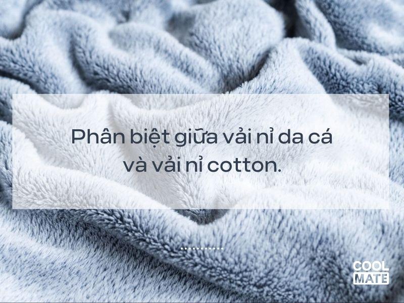 Phân biệt vải nỉ da cá và vải nỉ cotton.