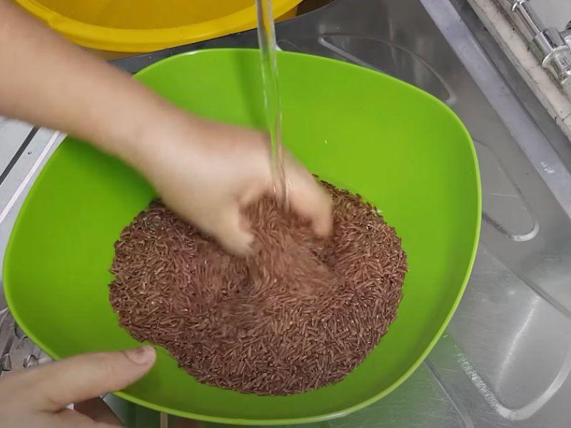 Bước 2: Ngâm gạo lứt