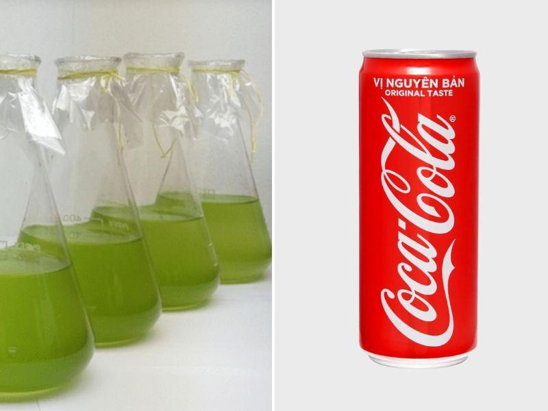 Tẩy mốc bằng xăng và coca