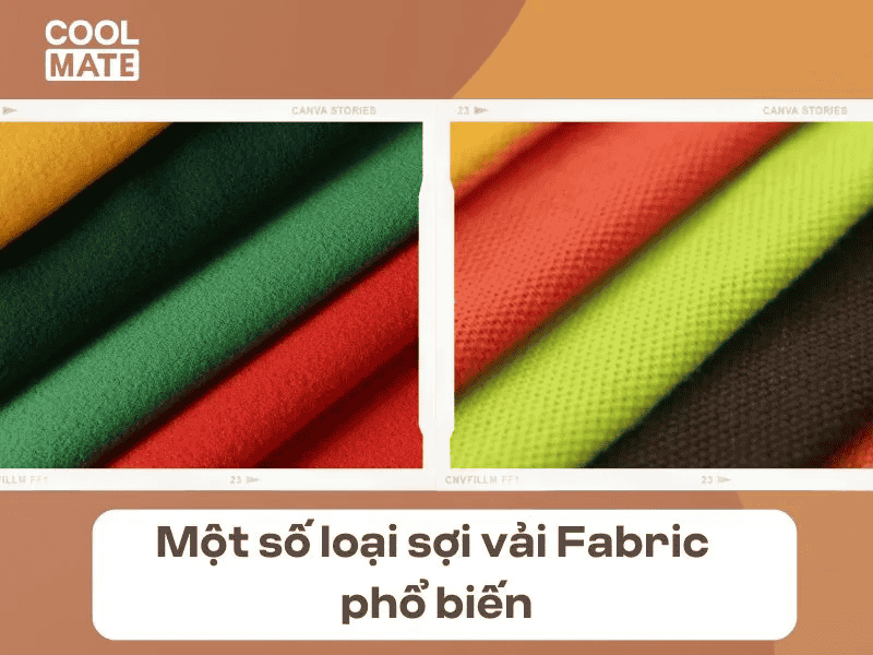  vải Fabric phổ biến trong ngành công nghiệp dệt may