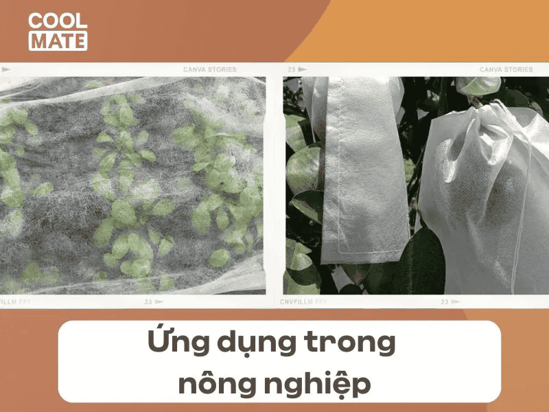 Vải không dệt dùng để bọc lót để ngăn côn trùng tấn công cây