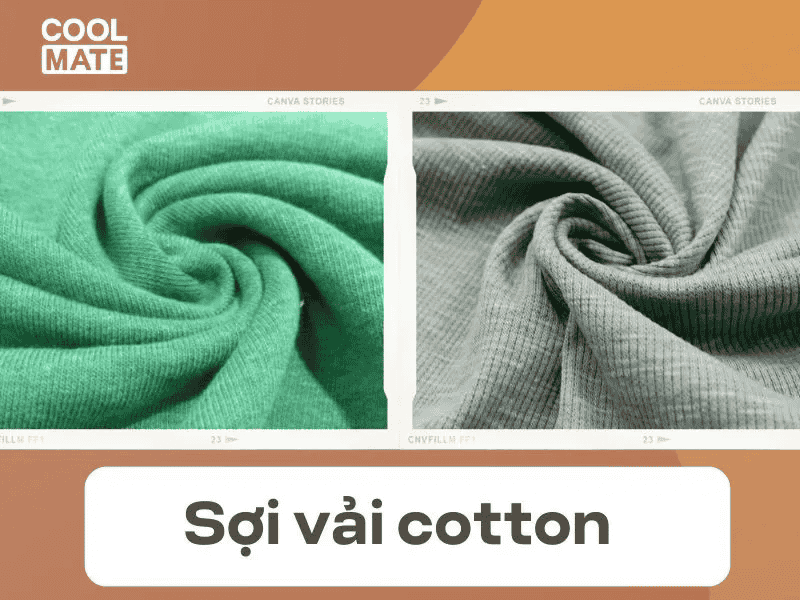 Sợi cotton có khả năng thấm hút mồ hôi cực tốt