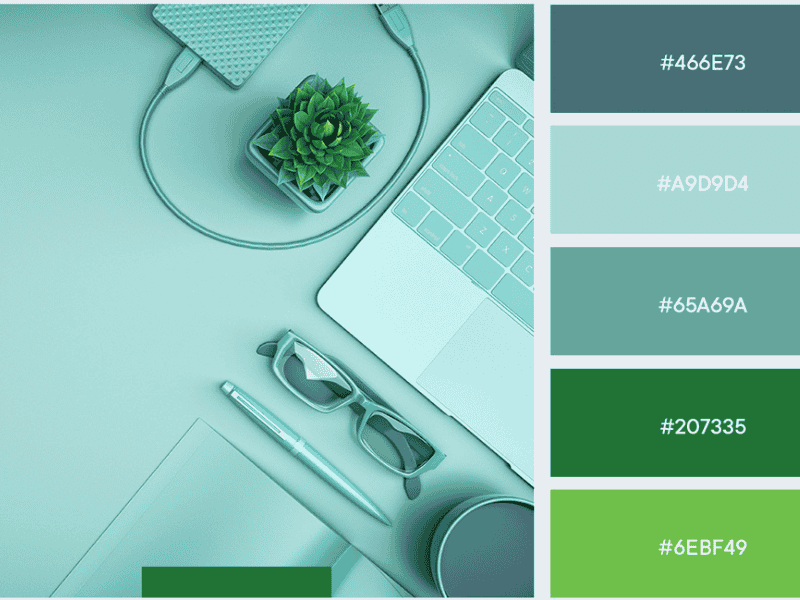 Xanh lá pastel trong lĩnh vực thiết kế đồ họa