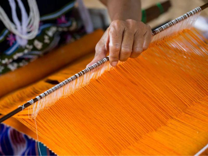 thu hoạch tơ là một bước rất quan trọng