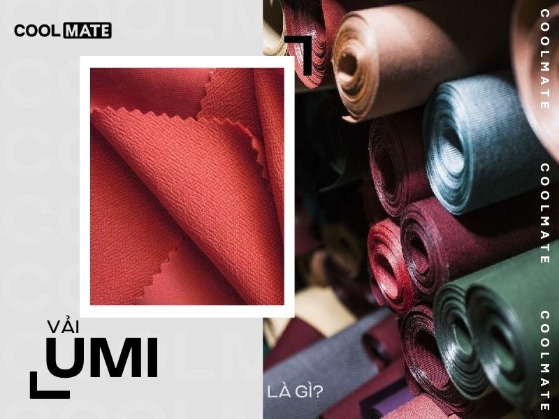 Vải umi là gì?