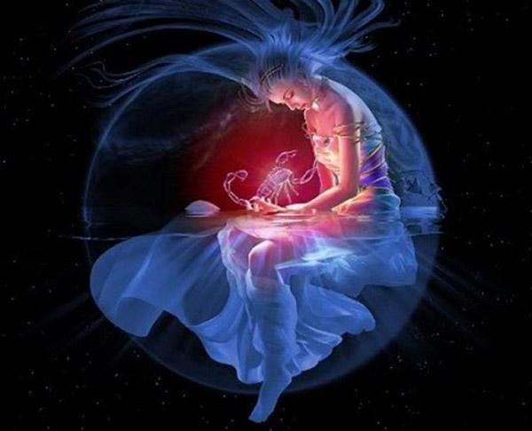 care share bọ cạp