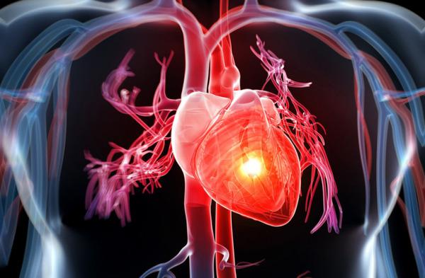 bài tập cardio tại nhà cho nam