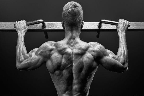 Pull up (kéo xà đơn): Phát triển cơ vai và cơ lưng