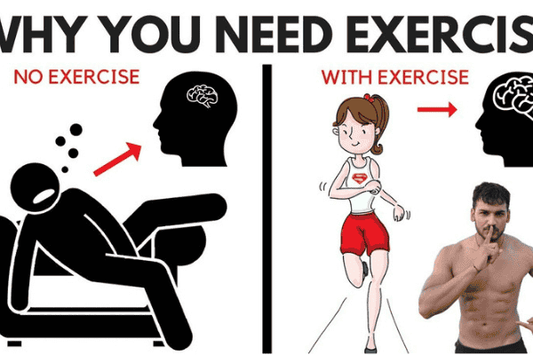 workout và cardio là gì