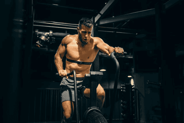 workout và cardio là gì 