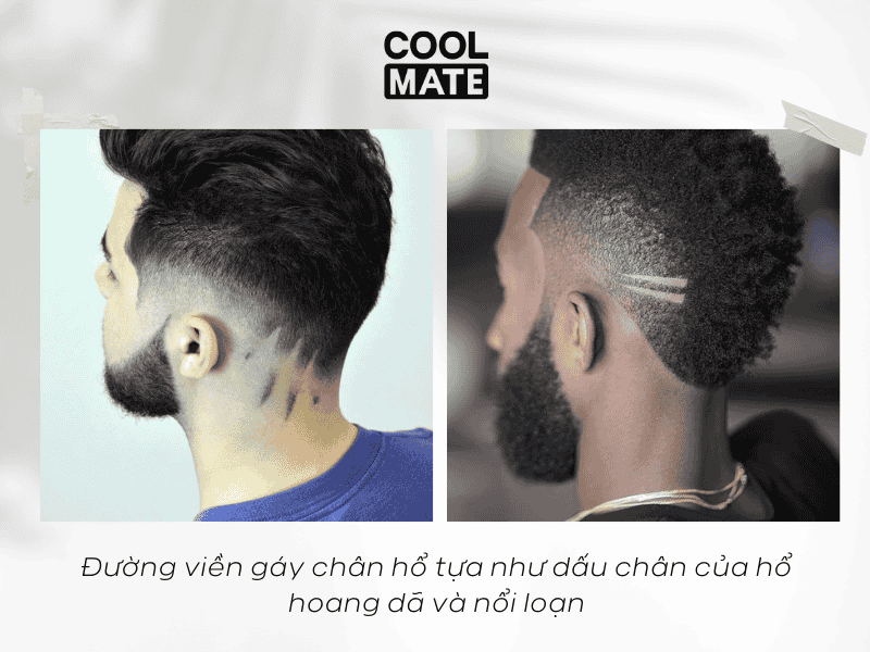Đường viền gáy chân hổ, tựa như dấu chân của hổ hoang dã và nổi loạn