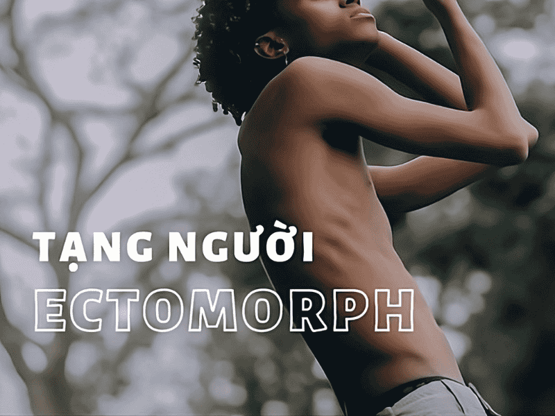 Đặc điểm của tạng người Ectomorph