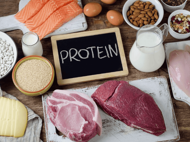 Cần xây dựng chế độ ăn bổ xung nhiều protein cho tạng người Ectomorph 
