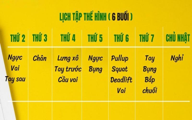 Lịch tập gym khoa học