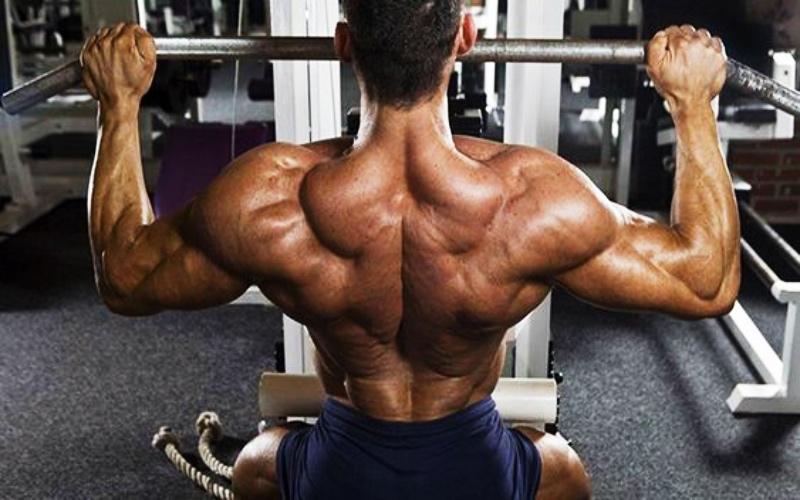 Gymer là những người yêu thích và thường xuyên tập luyện tại phòng gym