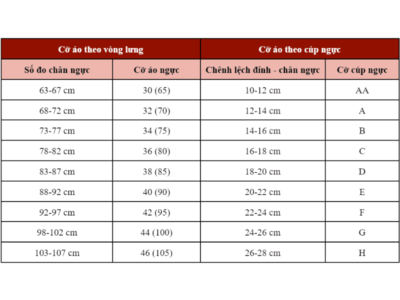 Bảng Size Áo Ngực Chuẩn Cho Mọi Vòng 1