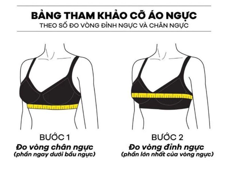 Cách chọn áo ngực phù hợp với số đo vòng 1 như thế nào?