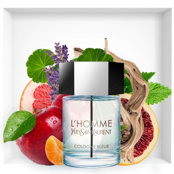Nước hoa EDP, EDT, EDC, EF là gì? Kinh nghiệm chọn nước hoa cho quý ông