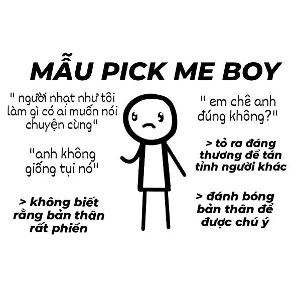 Ví dụ về pick me boy: Hình ảnh một bài đăng mạng xã hội về mẫu người lý tưởng