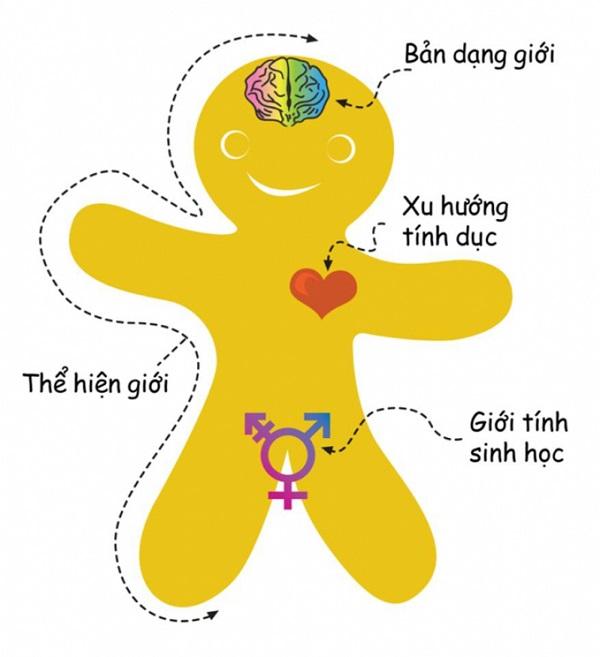Xu hướng tình dục của con người dựa trên nhiều yếu tố khác nhau