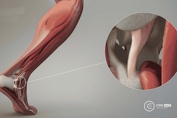 Cơ chân khi được bảo vệ sẽ giúp người chơi an tâm hơn