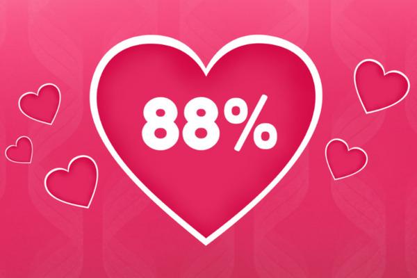 Love Tester - Trò chơi test độ hiểu nhau của cặp đôi
