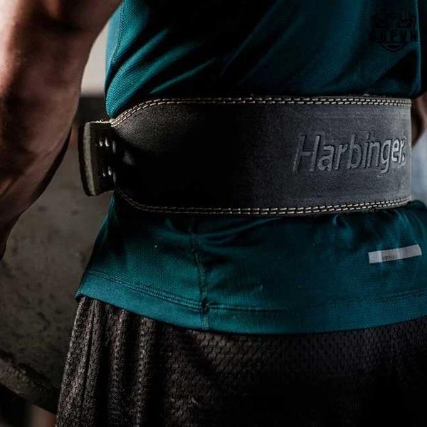 Thương hiệu đai lưng tập gym nam Harbinger