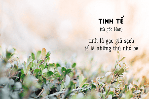 Hình ảnh minh họa:  Sự tinh tế thể hiện qua các chi tiết nhỏ