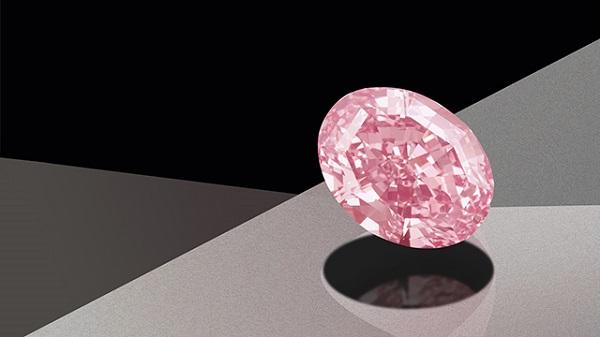 CTF Pink Star Diamond - kỷ lục đấu giá